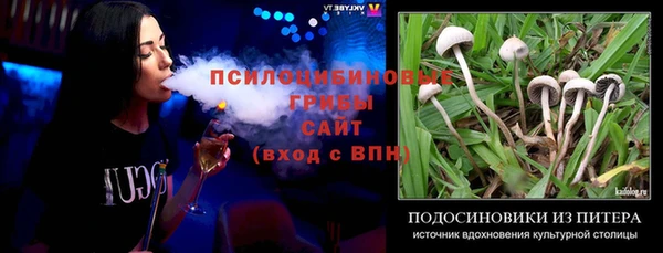стаф Армянск