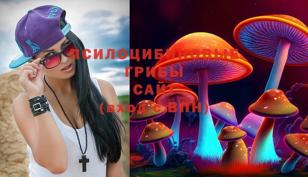 стаф Армянск