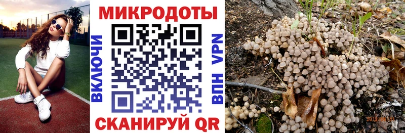 Галлюциногенные грибы Psilocybe  Купить  Устюжна 
